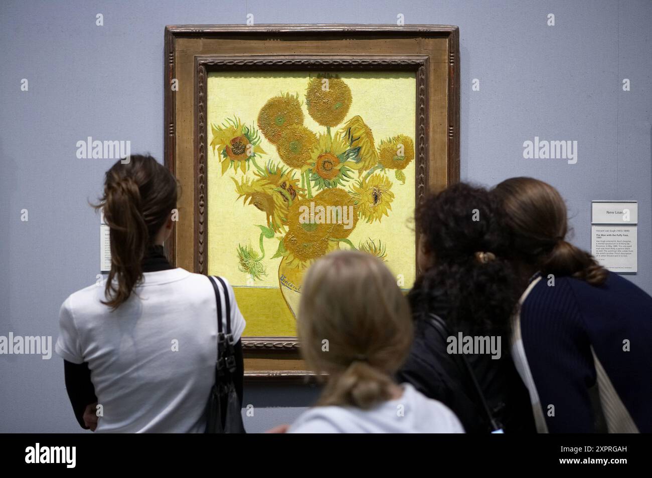 Sonnenblumen, von Vincent Van Gogh, National Gallery, London. England. UK. Stockfoto