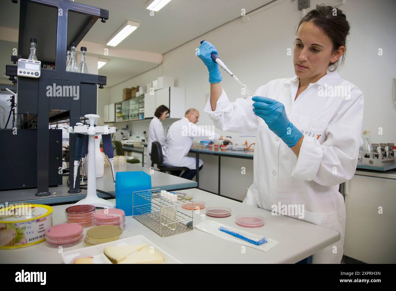 Mikrobiologisches Labor. Mikrobiologische Untersuchungen von Lebensmitteln. AZTI-Tecnalia. Technologiezentrum, spezialisiert auf Marine- und Lebensmittelforschung. Sukarrieta, Bizka Stockfoto