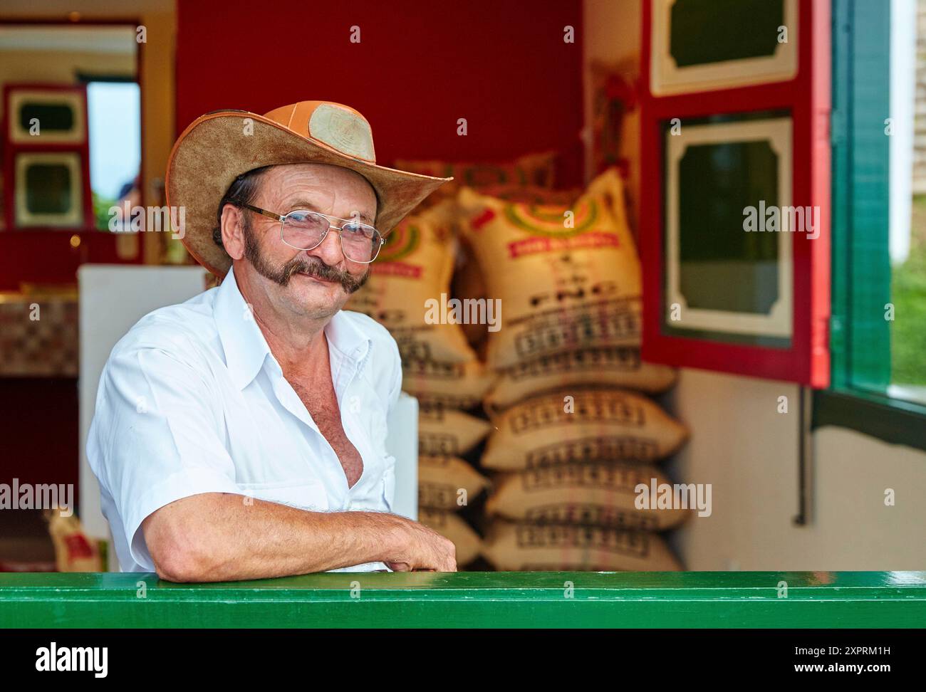 Hacienda San Alberto, Cafetal, Kaffeeplantagen, Kaffee-Kulturlandschaft, Buenavista, Quindio, Kolumbien, Südamerika Stockfoto