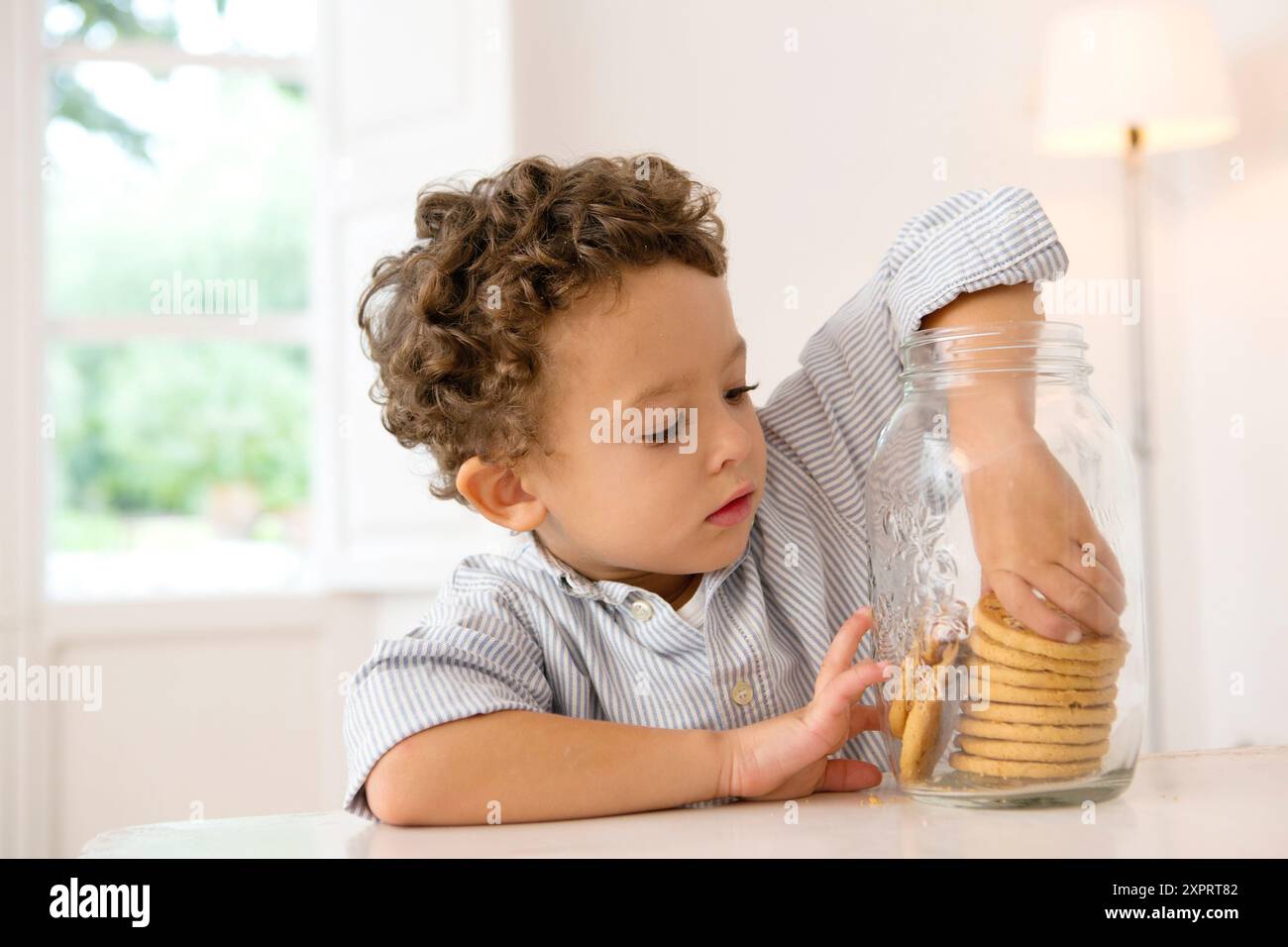 Vier Jahre alter Junge mit seiner Hand in der Keksdose Stockfoto