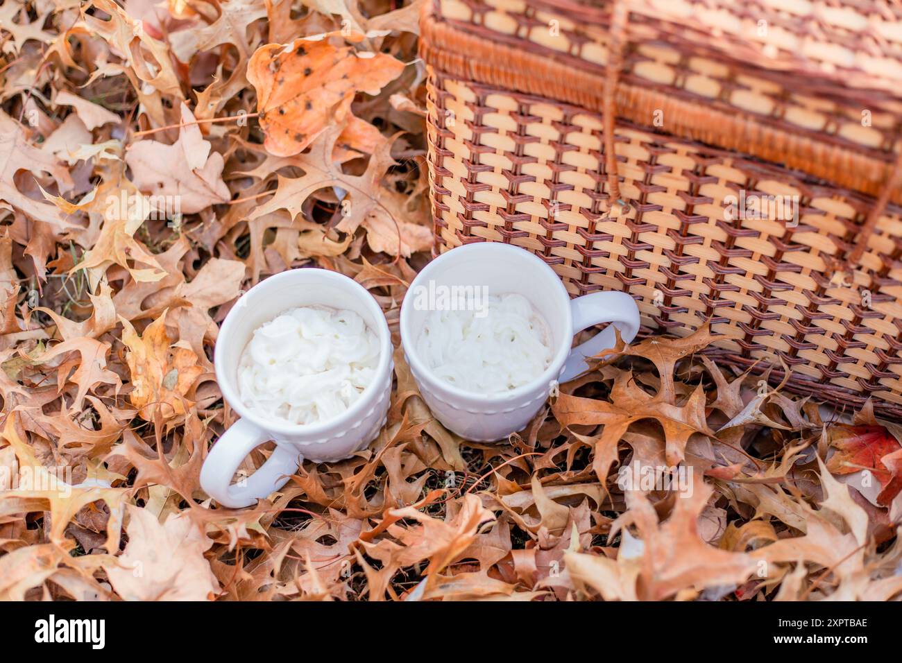 Zwei Tassen vor Herbsthintergrund, Herbstkaffeedatum, Herbstlaub, Picknick Stockfoto