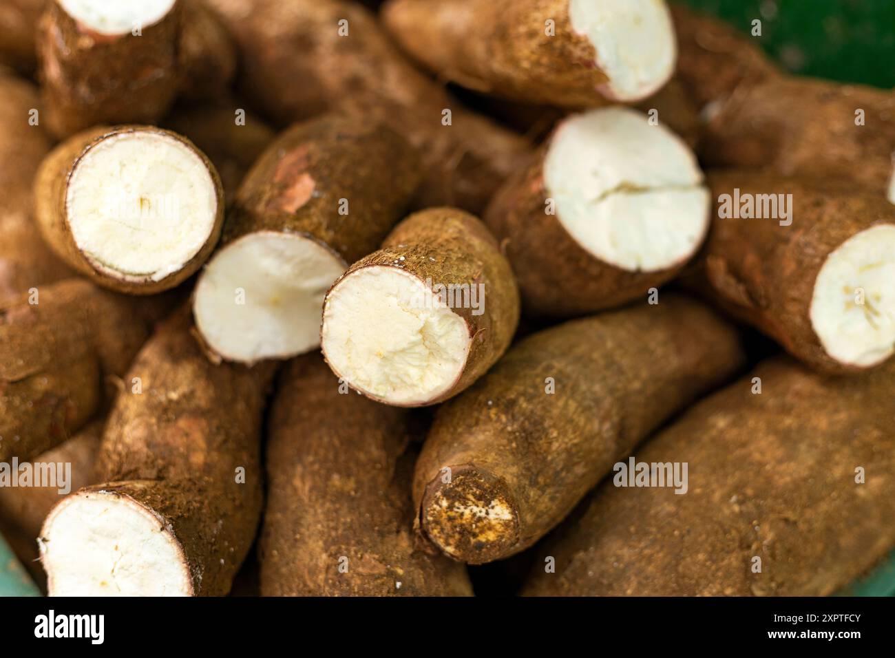 Maniok auf dem kolumbianischen Bauernmarkt - Manihot esculenta Stockfoto