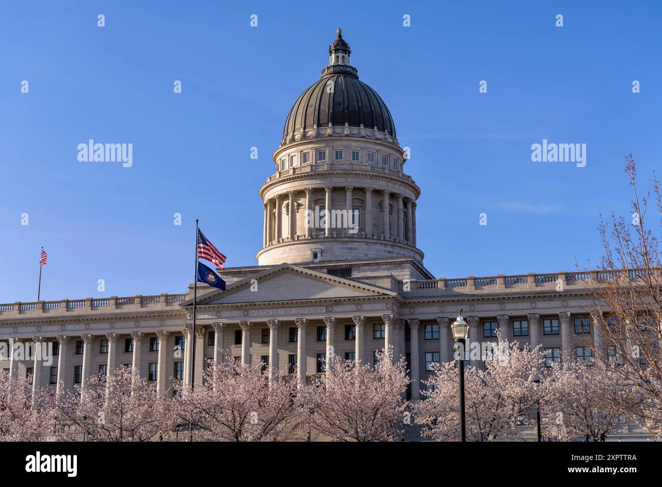 Utah State Capitol – Blick auf das Utah State Capitol am Frühlingsabend, mit nationalen und staatlichen Flaggen, die von blühenden Kirschbäumen umgeben sind. Stockfoto
