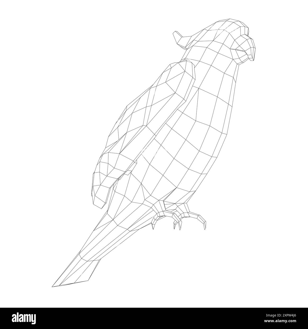 Schwarzweiß-Ausmalseite. Tiere Papagei Symbol. Abbildung des Vektormaterials. Vektorsymbol für Papageienaras. Illustration des wilden Vogels. Stock Vektor