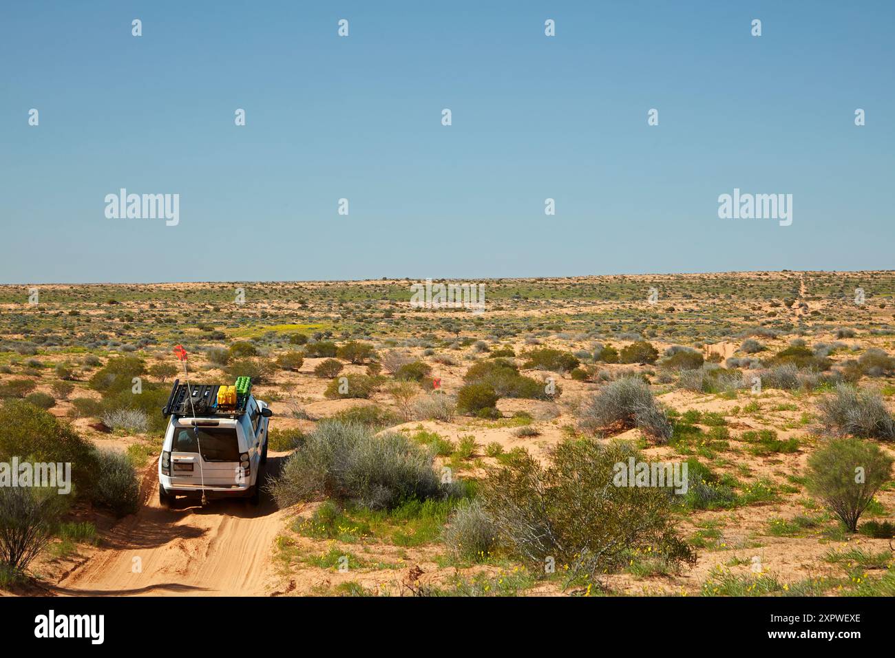 Im Geländewagen überqueren Sie Dünen auf dem French Line Track, dem Munga-Thirri-Simpson Desert National Park, der Simpson Desert, dem Outback South Australia, Australien Stockfoto