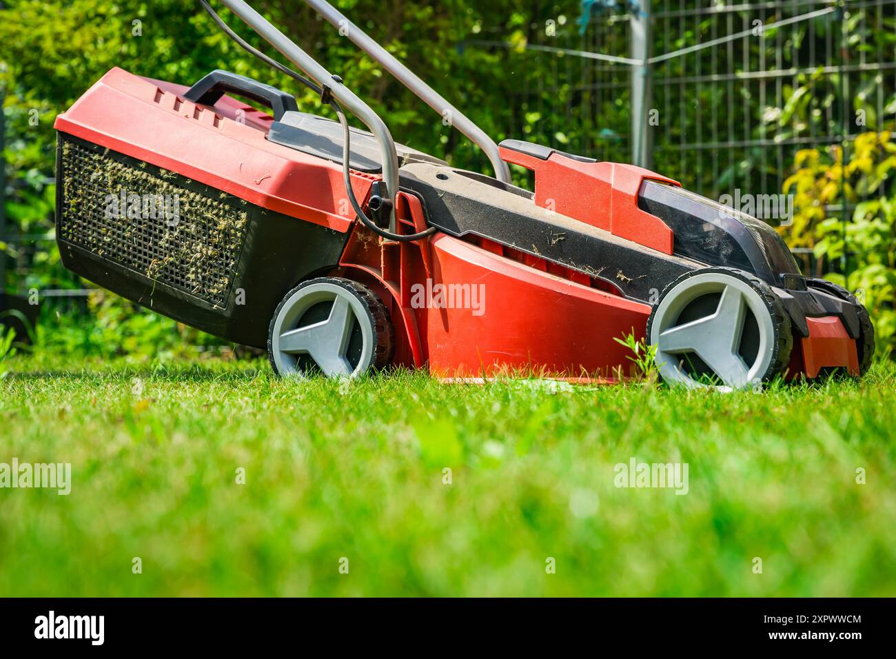 Rasenmäher auf grünem Gras im kleinen Garten, Gartenkonzept Stockfoto