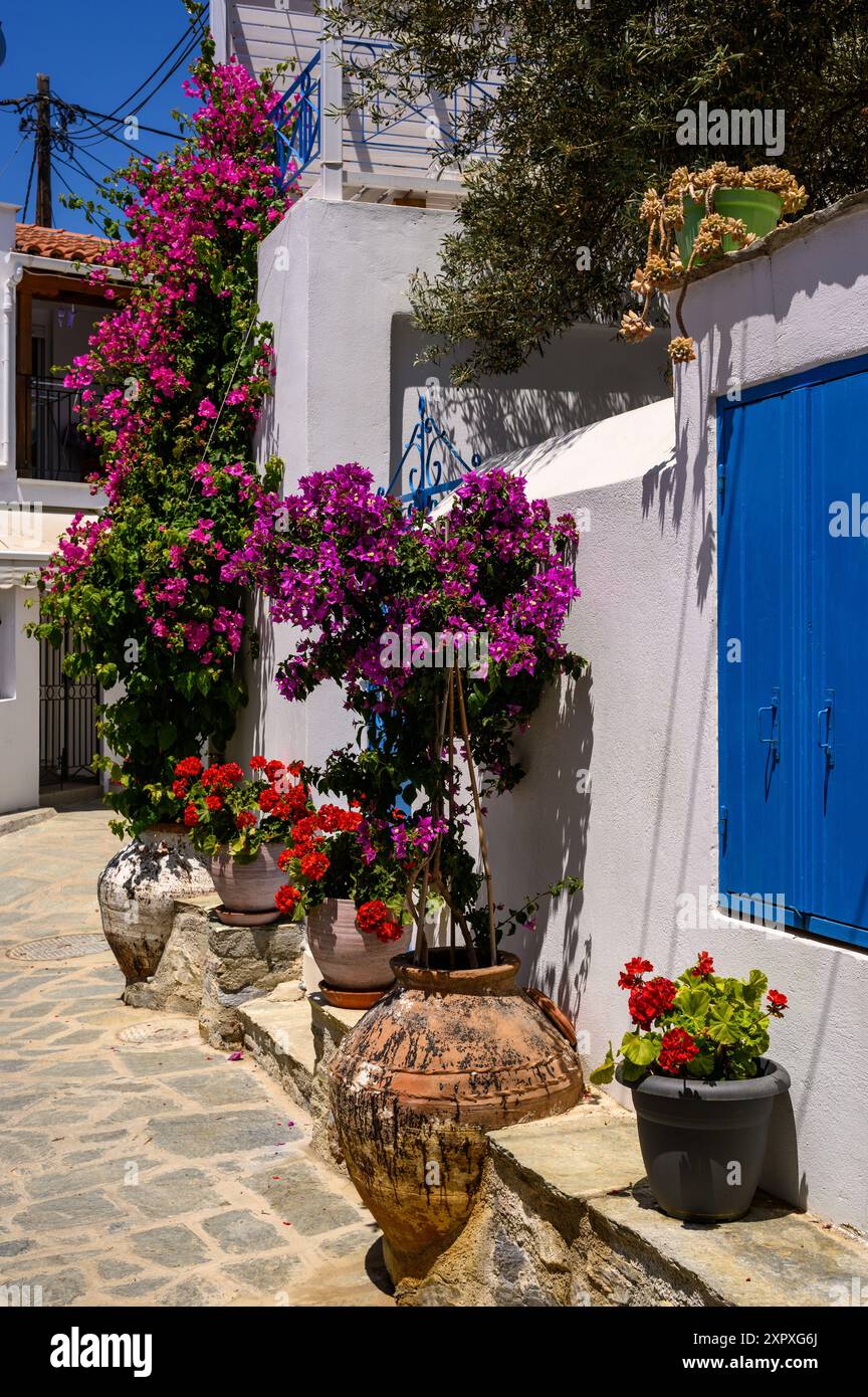 Lokale Farben in den kleinen Straßen der Stadt Skiathos. Griechenland Stockfoto