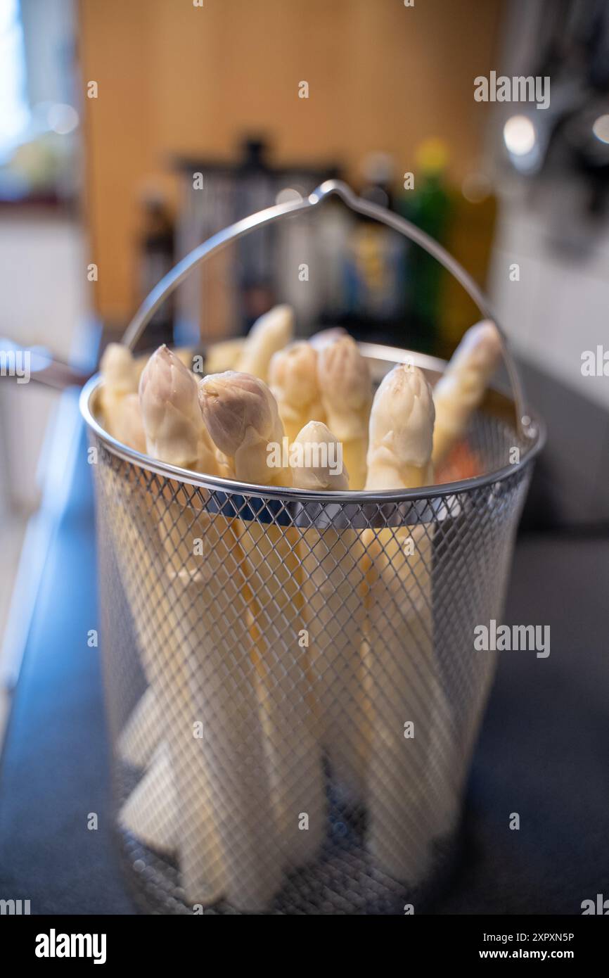 Spargel im Sieb zum Kochen von Spargeltopf - typisch deutsches Essen Stockfoto