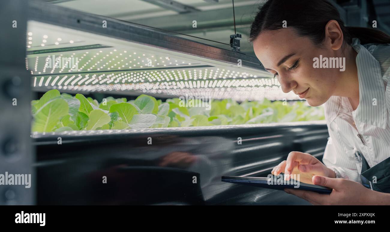 Biologiewissenschaftlerin untersucht und analysiert Jungpflanzen. Landwirtschaftsingenieur, der Tablet-Computer verwendet und in vertikaler Farm neben Rack mit natürlichen Öko-Pflanzen arbeitet Stockfoto