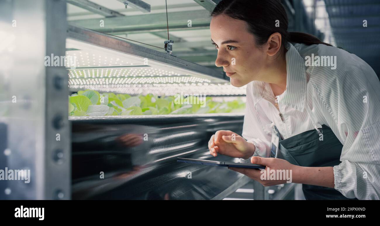 Biologiewissenschaftlerin untersucht und analysiert Jungpflanzen. Landwirtschaftsingenieur, der Tablet-Computer verwendet und in einem vertikalen Bauernhof neben einem Rack mit natürlichen Öko-Pflanzen arbeitet Stockfoto