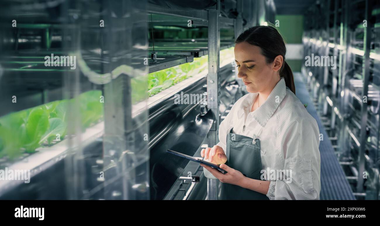 Landwirtschaftlicher Anbauer, der in einem Flur in einer vertikalen Farm-Einrichtung neben einem Regal mit frisch angebauten Pflanzen arbeitet. Hydroponiktechnikerin, die einen Tablet-Computer verwendet, um Erntegut zu studieren und zu kultivieren Stockfoto