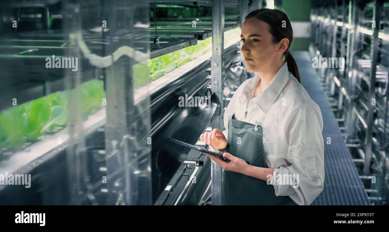 Landwirtschaftlicher Anbauer, der in einem Flur in einer vertikalen Farm-Einrichtung neben einem Regal mit frisch angebauten Pflanzen arbeitet. Hydroponiktechnikerin mit Tablet-Computer, die Erntegut studiert und anbaut Stockfoto