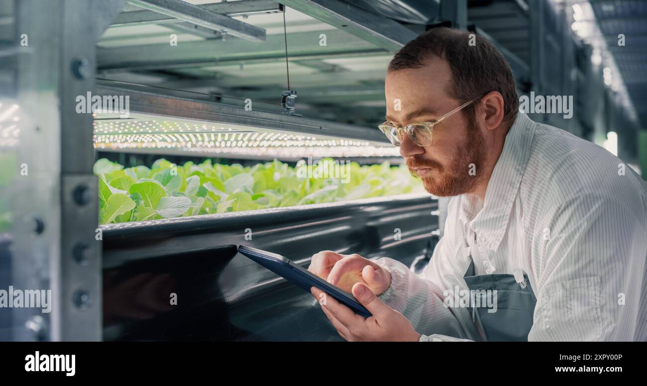 Erwachsenenbiologiewissenschaftler, der junge Kulturpflanzen genau untersucht und analysiert. Landwirtschaftsingenieur, der Tablet-Computer verwendet und in einem vertikalen Bauernhof neben einem Rack mit natürlichen Öko-Pflanzen arbeitet Stockfoto