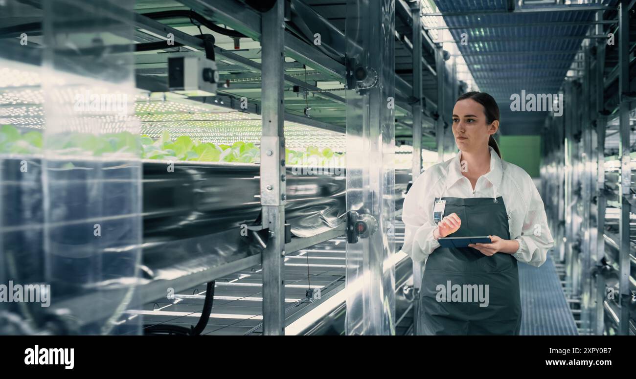 Biologiewissenschaftler, der bei Vertical Farm neben Rack mit natürlichen Öko-Pflanzen arbeitet. Landwirtschaftsingenieurin mit Tablet-Computer, Organisieren und Analysieren von Erntegutinformationen vor der Verteilung Stockfoto