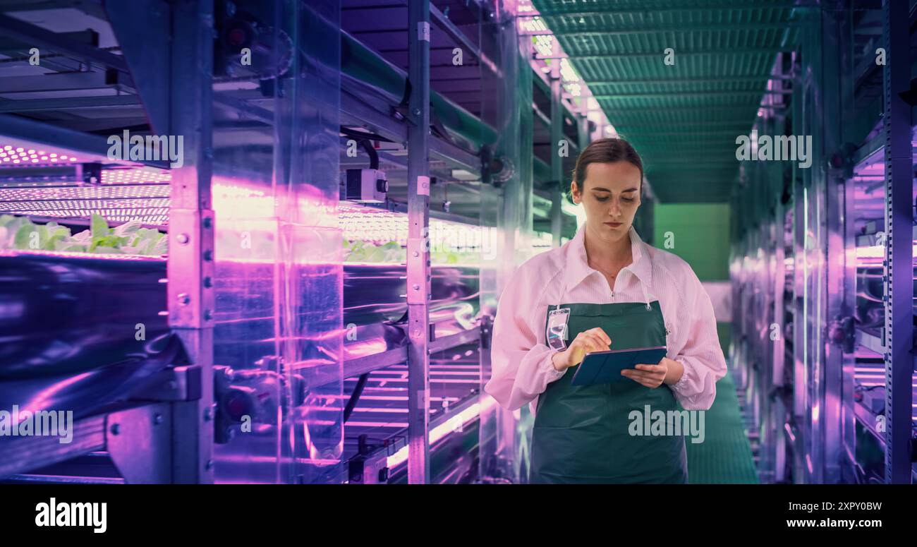 Junge Farmerin, die in einem vertikalen Bauernhof mit ultravioletten LED-Lichtern arbeitet. Spezialist für Hydrokultur, der an einem Tablet-Computer neben einem Rack mit frischen Pflanzen für den Versand an einen Supermarkt arbeitet Stockfoto