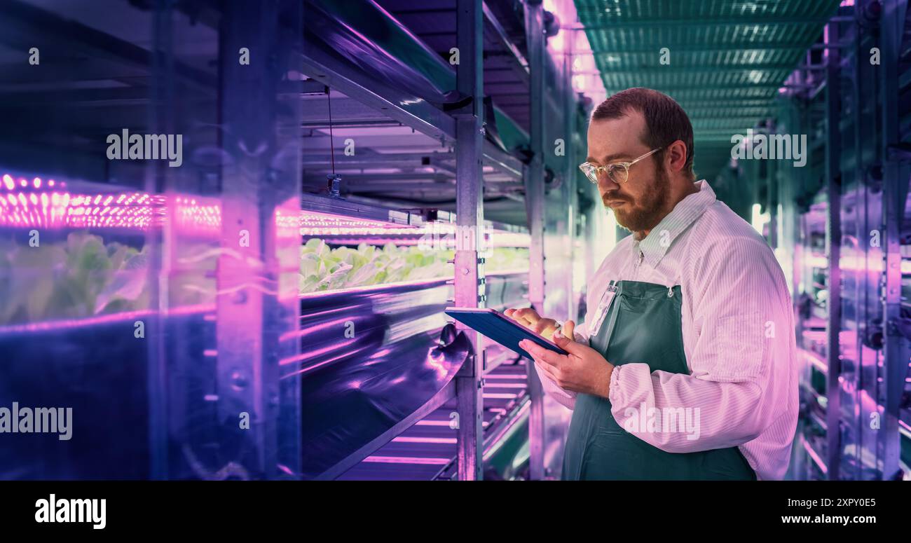 Biologiewissenschaftler, der in einer vertikalen Farm-Einrichtung neben Rack mit natürlichen Öko-Pflanzen arbeitet. Landwirtschaftsingenieur, der einen Tablet-Computer verwendet, um Erntegutinformationen vor der Verteilung zu organisieren und zu analysieren Stockfoto