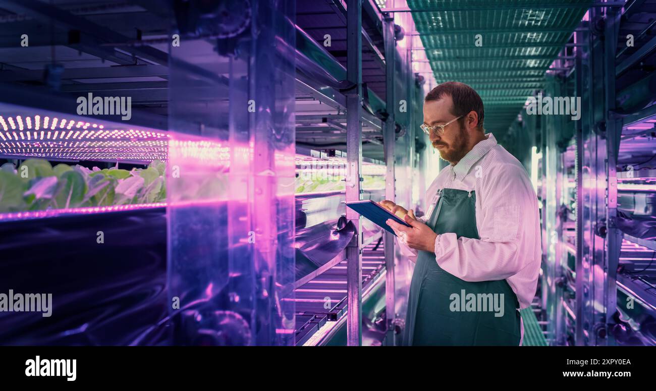 Agrarwissenschaftler in einem Korridor in einer vertikalen Farm neben einem Rack mit frisch gewachsenen Pflanzen. Hydrokultur-Techniker mit Tablet-Computer, Studium und Kultivierung von Erntegut Stockfoto