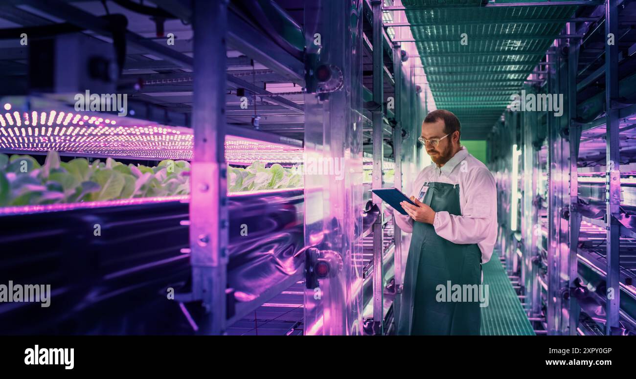 Agrarwissenschaftler in einem Korridor in einer vertikalen Farm neben einem Rack mit frisch gewachsenen Pflanzen. Hydrokultur-Techniker mit einem Tablet-Computer, der Erntegut studiert und kultiviert Stockfoto
