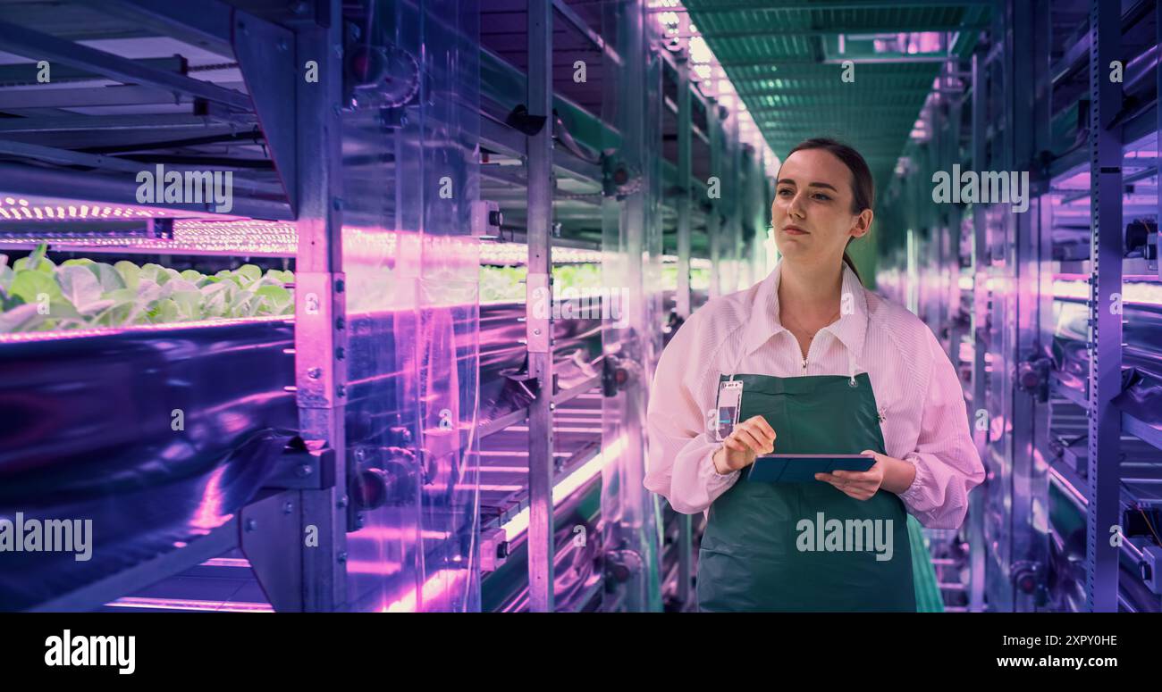 Junge Farmerin, die in einem vertikalen Bauernhof mit ultravioletten LED-Lichtern arbeitet. Hydrokultur-Spezialist arbeitet an einem Tablet-Computer neben einem Rack mit frischen Pflanzen, die für den Versand an einen großen Supermarkt bereit sind Stockfoto