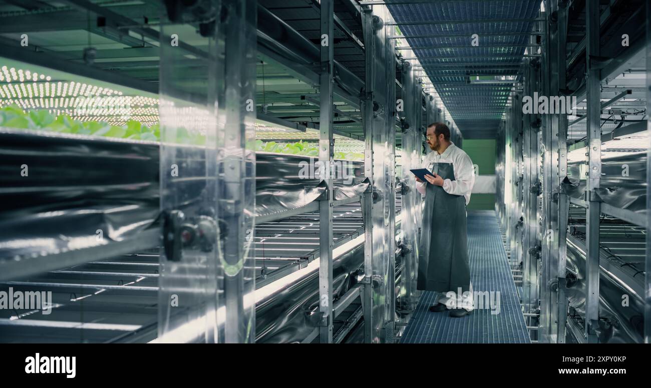 Biologiewissenschaftler, der in einer vertikalen Farm neben Rack mit natürlichen Öko-Pflanzen arbeitet. Landwirtschaftsingenieur, der einen Tablet-Computer verwendet, um Erntegutinformationen vor der Verteilung zu organisieren und zu analysieren Stockfoto