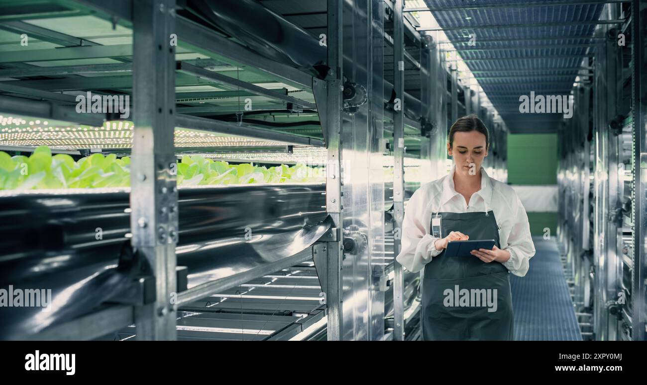 Biologiewissenschaftler, der in einer vertikalen Farm neben Rack mit natürlichen Öko-Pflanzen arbeitet. Landwirtschaftsingenieurin mit Tablet-Computer, Organisieren und Analysieren von Erntegutinformationen vor der Verteilung Stockfoto