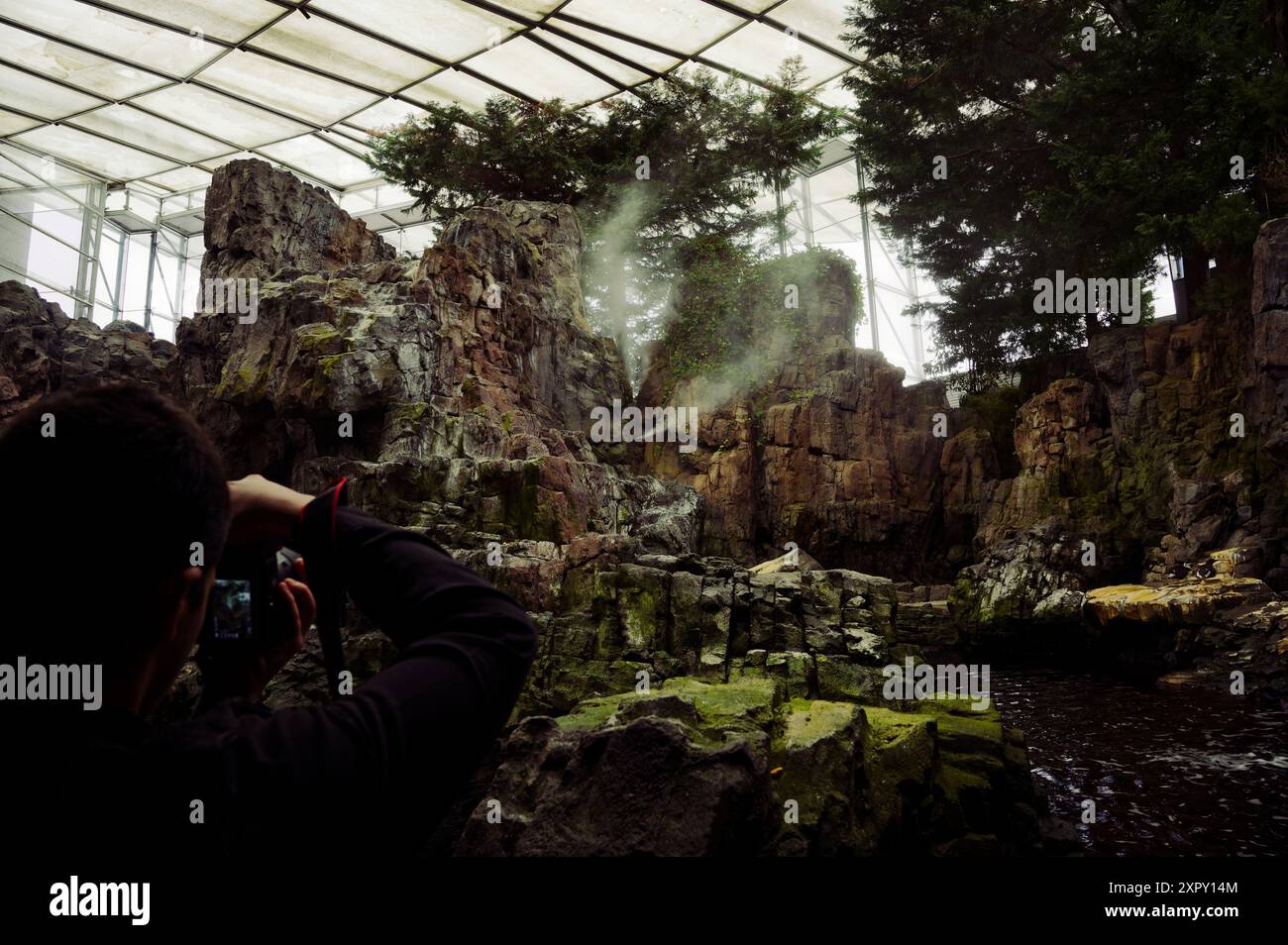Der Fotograf fängt die üppige, felsige Landschaft im Lissabonner Ozeanarium ein und hält die nebelige Atmosphäre und detaillierte Naturausstellungen fest Stockfoto