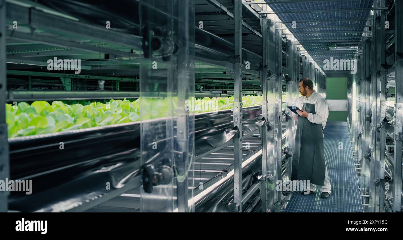 Landwirtschaftlicher Anbauer, der in einem Flur in einer vertikalen Farm-Einrichtung neben einem Regal mit frisch angebauten Pflanzen arbeitet. Hydrokultur-Techniker mit Tablet-Computer, Studium und Kultivierung von Erntegut Stockfoto