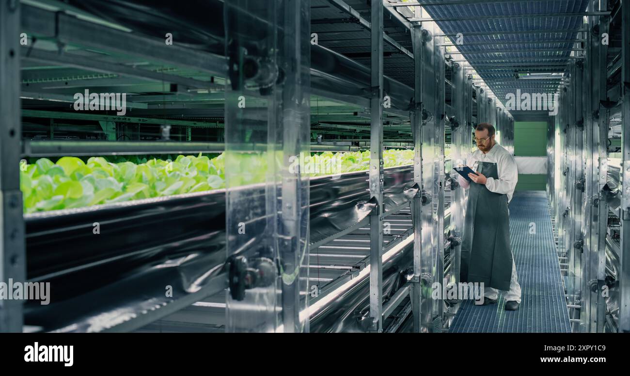 Landwirtschaftlicher Anbauer arbeitet in einem Flur in einer modernen vertikalen Farm neben einem Regal mit frisch angebauten Pflanzen. Hydrokultur-Techniker mit Tablet-Computer, Studium und Kultivierung von Erntegut Stockfoto