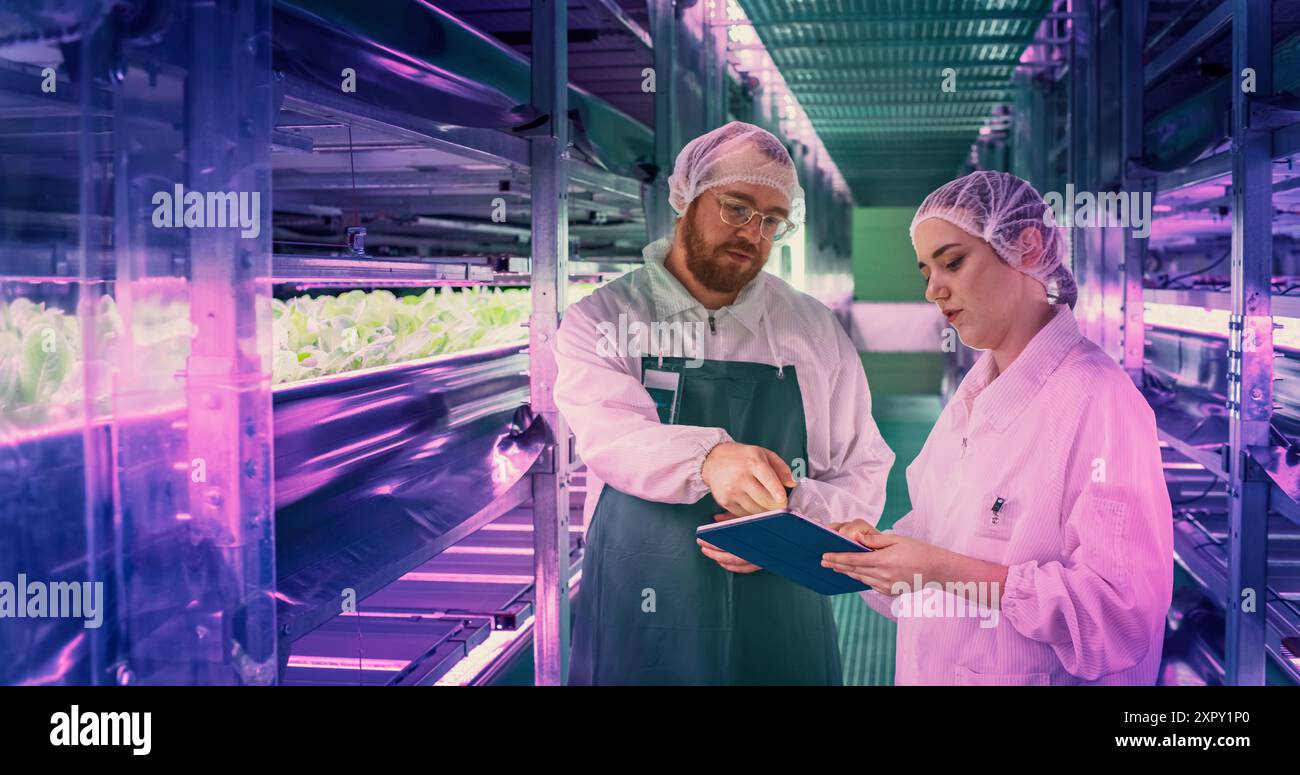 Vertikal-Farm-Spezialisten sprechen im Korridor mit frischen Pflanzen. Weibliche und männliche Landwirte in Schutzkleidung und Kopfbedeckung im Innenbereich. Natürliche Pflanzen, die unter LED-Lichtern wachsen Stockfoto