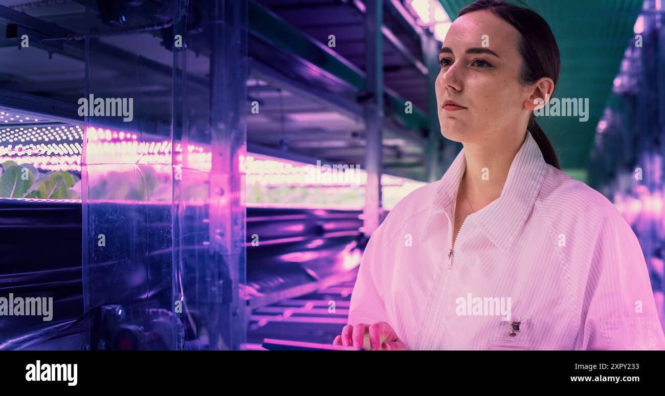 Porträt einer Landwirtschaftsingenieurin, die in einer vertikalen Farm neben Racks mit frischen Naturkulturen spaziert. Spezialist für Hydrokultur mit einem Tablet-Computer, das Pflanzen studiert und kultiviert Stockfoto