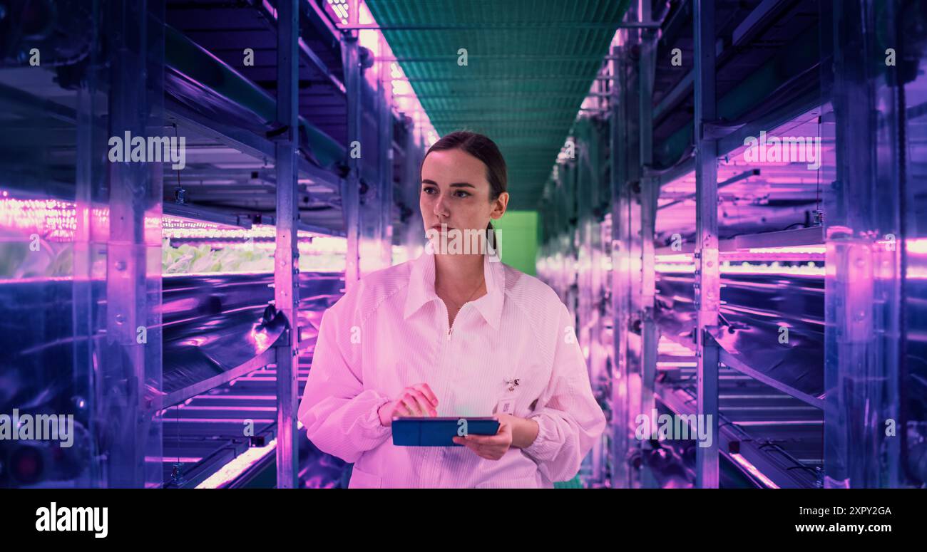 Porträt einer Landwirtschaftsingenieurin, die in einer vertikalen Farm neben Racks mit frischen Naturkulturen spaziert. Spezialist für Hydrokultur mit einem Tablet-Computer, das Pflanzen studiert und kultiviert Stockfoto