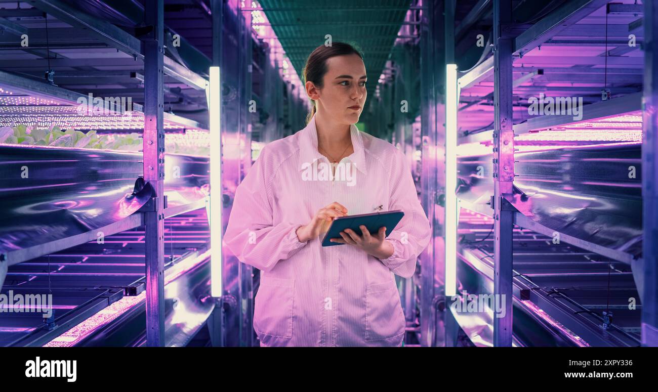 Porträt einer Landwirtschaftsingenieurin, die in einer vertikalen Farm neben Racks mit frischen Naturkulturen spaziert. Professioneller Hydrokultur-Spezialist mit einem Tablet, das Pflanzen studiert und anbaut. Stockfoto