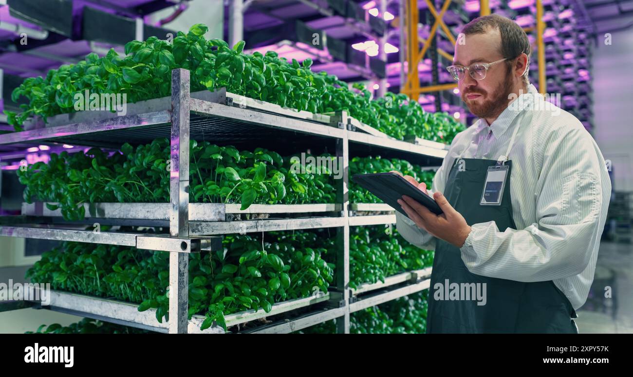 Agrarwissenschaftler in einer Halle in einem vertikalen Bauernhof mit Neonlicht neben einem Rack mit frisch gewachsenen Pflanzen. Hydrokultur-Techniker mit einem Tablet-Computer, der die Kultivierung von Feldfrüchten untersucht. Stockfoto