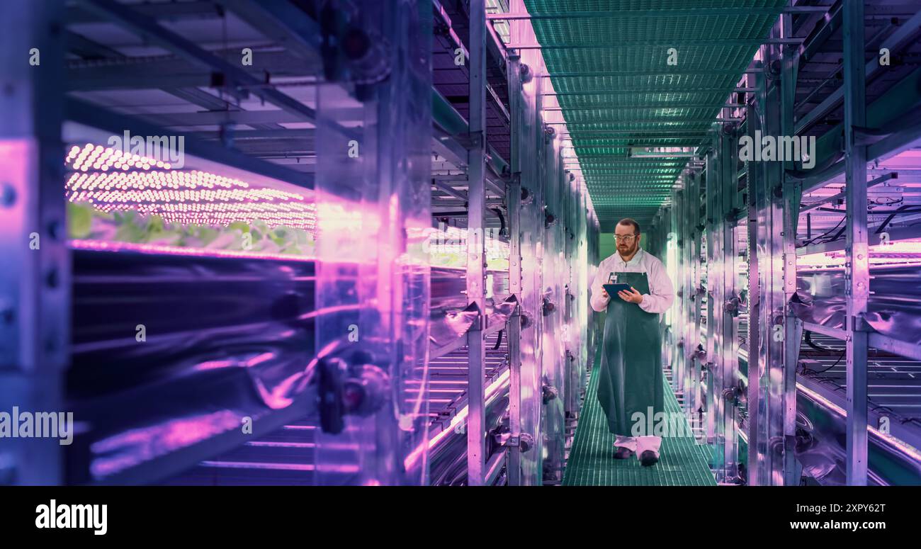 Junger Landwirt, der in einer vertikalen Farm mit ultravioletten LED-Leuchten arbeitet. Hydrokultur-Spezialist arbeitet an einem Tablet-Computer neben dem Rack mit frischen Pflanzen, die für den Versand an einen Supermarkt bereit sind Stockfoto