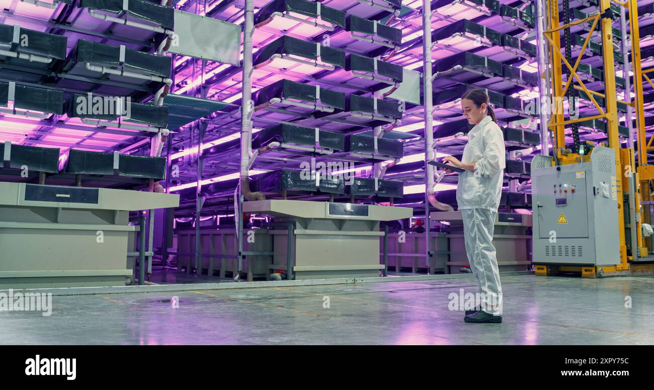 Junge Farmerin, die in einer vertikalen Farm mit LED-Leuchten steht. Hydrokultur-Techniker mit einem Tablet-Computer, Studium und Kultivierung von Pflanzen, Planung der Lieferung von Grünpflanzen an Supermärkte. Stockfoto