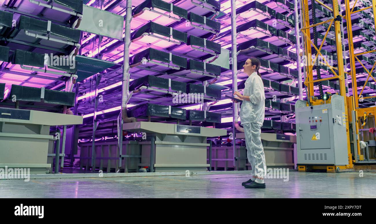 Junge Farmerin, die in einer vertikalen Farm mit LED-Leuchten steht. Hydrokultur-Techniker mit einem Tablet, Studium und Kultivierung von Pflanzen, Planung der Lieferung von Grünpflanzen an Supermärkte. Stockfoto