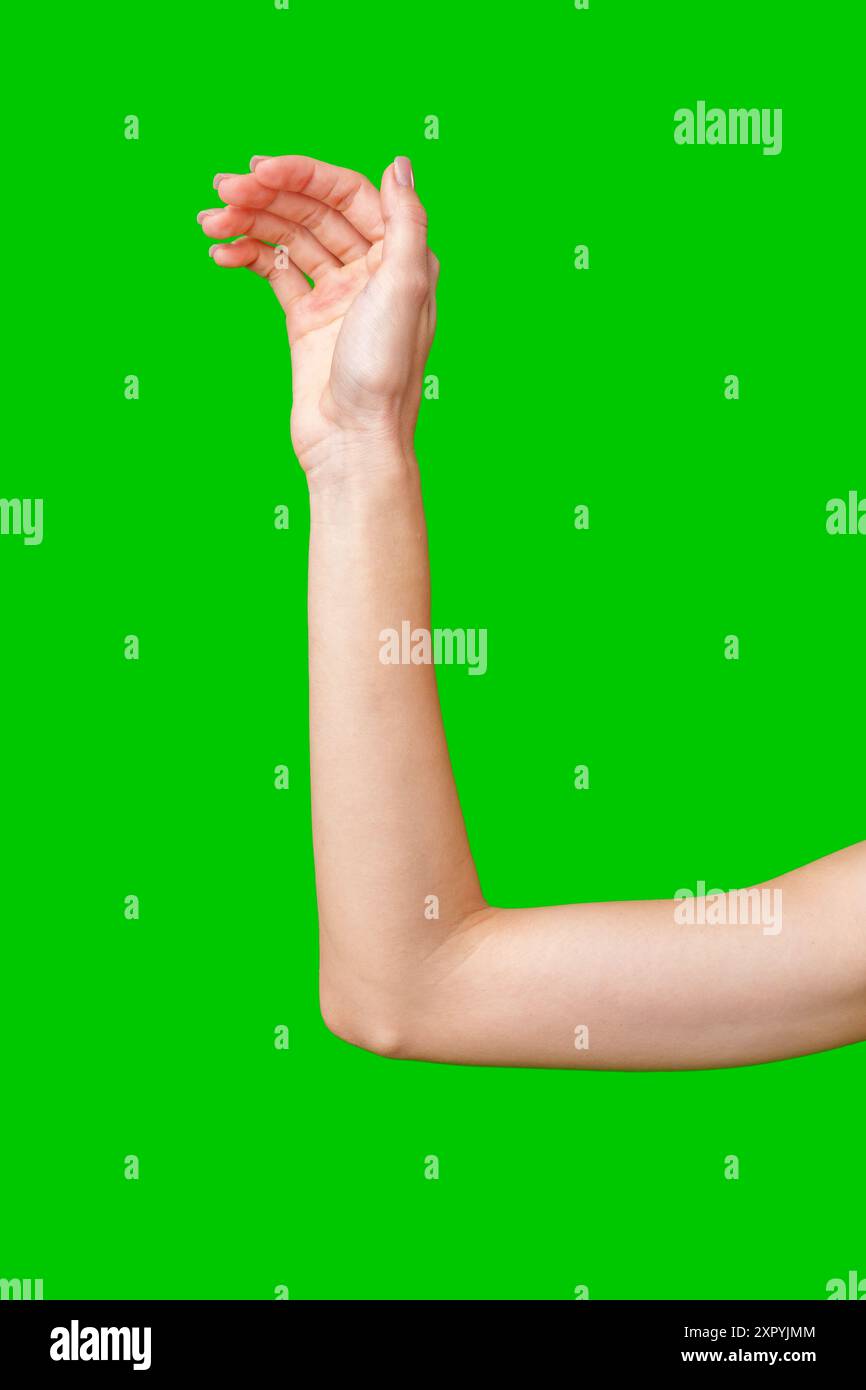 Die Hand und der Unterarm der Frau sind gegen einen grünen Bildschirm ausgestreckt Stockfoto