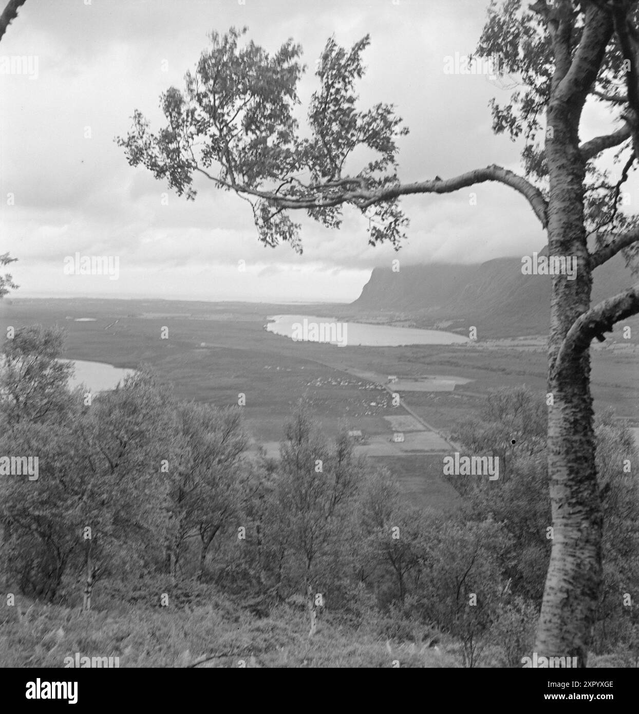 Aktuell 18–1949: Die Bulldozer-Offensive -Blick über das große Testfeld bei Hustad, im Hintergrund der offene Küstenabschnitt Hustadvika. Hier werden die neuen Bergbauarbeiten auf 2.000 Metern mit Maschinen durchgeführt. Sobald Sie Erfahrung mit der Behandlung der Maschinen in sumpfigem Gelände gesammelt haben, ist es möglich, die Maschine in wirklich großem Maßstab in Betrieb zu nehmen. Hustadmyra hat 30.000 Hektar Ackerland, aber auf der gesamten Halbinsel Romsdal gibt es nicht weniger als 200.000 Hektar Land, das unter den Pflug gelegt werden kann. Es gibt Grund, dem Hustad-Experiment mit A zu folgen Stockfoto