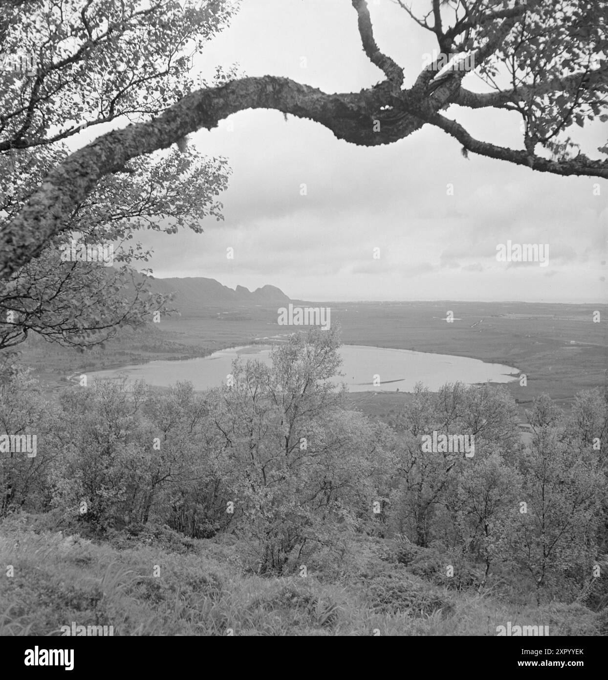 Aktuell 18–1949: Die Bulldozer-Offensive -Blick über das große Testfeld bei Hustad, im Hintergrund der offene Küstenabschnitt Hustadvika. Hier werden die neuen Bergbauarbeiten auf 2.000 Metern mit Maschinen durchgeführt. Sobald Sie Erfahrung mit der Behandlung der Maschinen in sumpfigem Gelände gesammelt haben, ist es möglich, die Maschine in wirklich großem Maßstab in Betrieb zu nehmen. Hustadmyra hat 30.000 Hektar Ackerland, aber auf der gesamten Halbinsel Romsdal gibt es nicht weniger als 200.000 Hektar Land, das unter den Pflug gelegt werden kann. Es gibt Grund, dem Hustad-Experiment mit A zu folgen Stockfoto