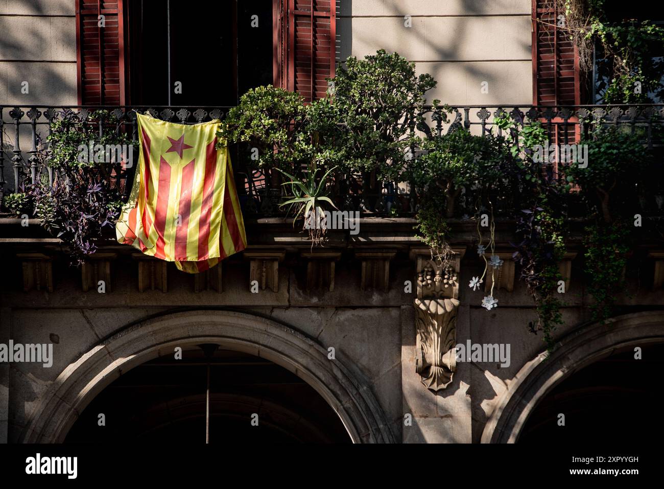 Barcelona, Katalonien, Spanien. August 2024, Barcelona, Spanien: in Barcelona ist eine katalanische Unabhängigkeitsfahne (estelada) auf einem Balkon zu sehen, an dem der ehemalige katalanische Präsident Carles Puigdemont nach sieben Jahren im Exil nach Spanien zurückkehrt, um an der Debatte über die Gründung des Sozialisten Salvador Illa teilzunehmen, der benannt werden soll als erster Präsident der Region Cataonia seit 14 Jahren. Quelle: Jordi Boixareu/Alamy Life News Stockfoto