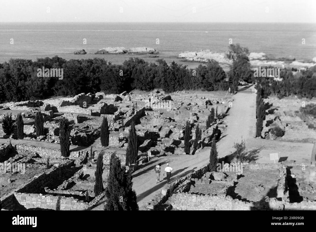 Zwei Besucher des Archäologischen Parks der Ausgrabungsstätte von Empúries gehen einen von Mittelmeerzypressen gesäumten Weg entlang, der durch die Agora der Neapolis aus dem Park hinaus zur Resten der griechischen Mole am Strand führt, links vor einem Saum aus mediterranen Bäumen steht die Ruine einer frühchristlichen Basilika, im Hintergrund liegt der Golf de Roses, Costa Brava 1957. Zwei Besucher des Archäologischen Parks der Stätte Empúries gehen auf einem von mediterranen Zypressen gesäumten Weg durch die Agora der Neapolis aus dem Park zu den Überresten des griechischen Piers Stockfoto