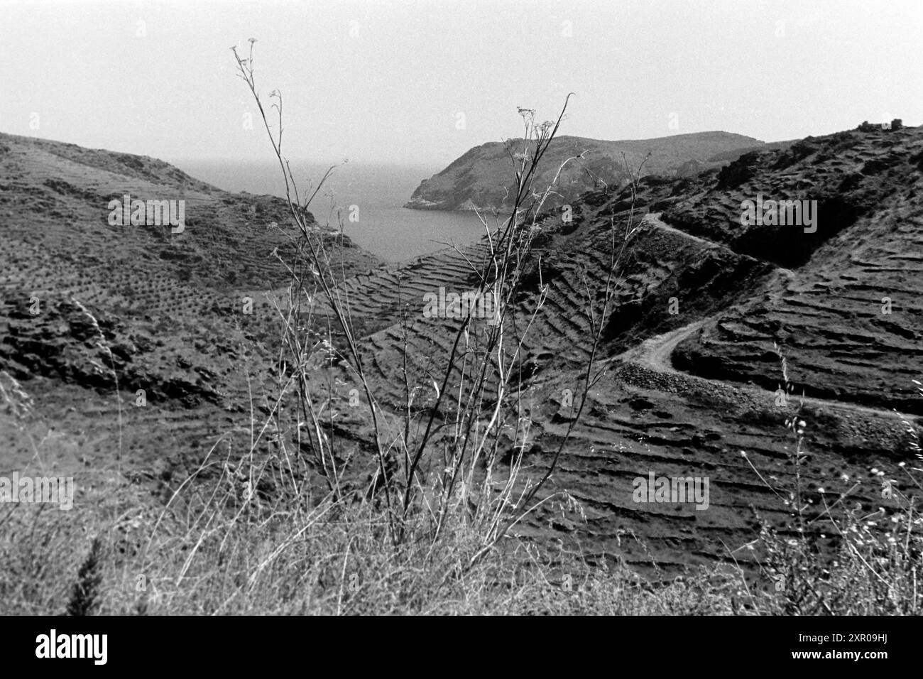 Die Landschaft am Cap de Creus wird unter anderem durch die Terrassen geprägt, die landwirtschaftliche Nutzung dienten, Costa Brava 1957. Die Landschaft am Cap de Creus ist unter anderem durch die Terrassen gekennzeichnet, die für landwirtschaftliche Zwecke genutzt wurden, Costa Brava 1957. Stockfoto