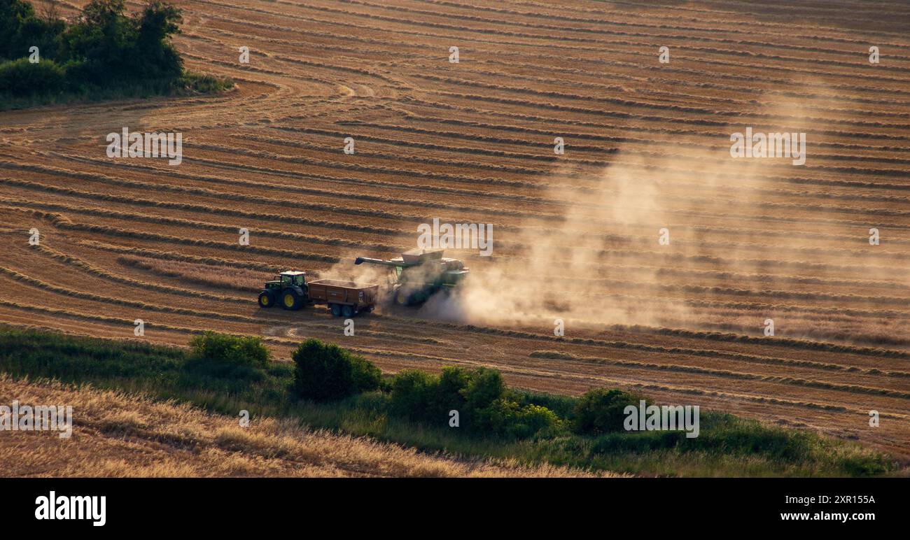 Aus der Vogelperspektive eines Traktors, der während der Erntezeit auf einem riesigen goldenen Feld arbeitet und Staubwolken erzeugt, wenn er sich über das Land bewegt. Stockfoto