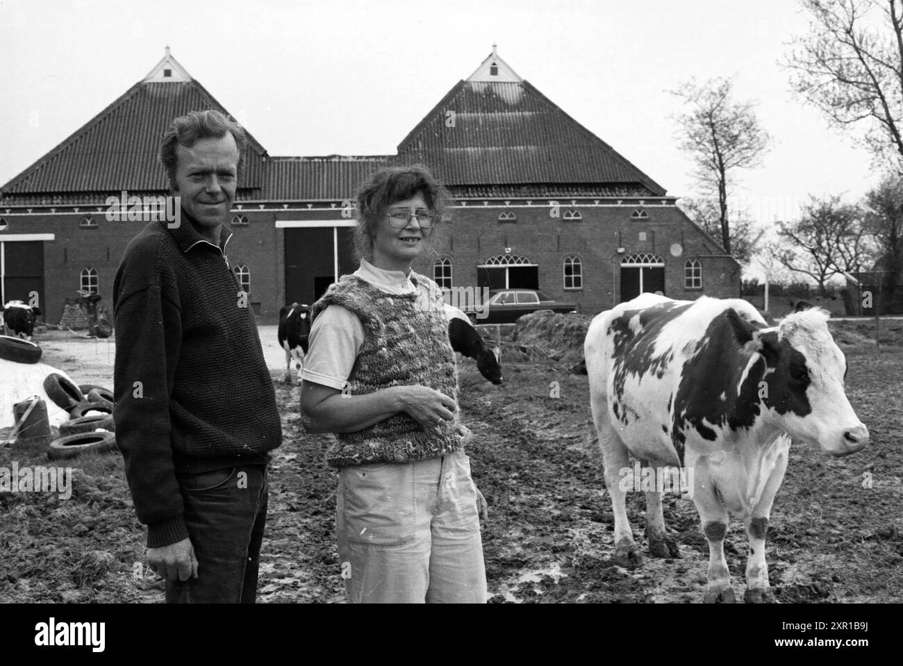 Farm Friesland, Farmer und Farmer's Ehefrau mit Kühen, Farmen, 08-05-1986, Whizgle Dutch News: Historische Bilder zugeschnitten auf die Zukunft. Erkunden Sie die Vergangenheit der Niederlande mit modernen Perspektiven durch Bilder von niederländischen Agenturen. Verbinden der Ereignisse von gestern mit den Erkenntnissen von morgen. Begeben Sie sich auf eine zeitlose Reise mit Geschichten, die unsere Zukunft prägen. Stockfoto