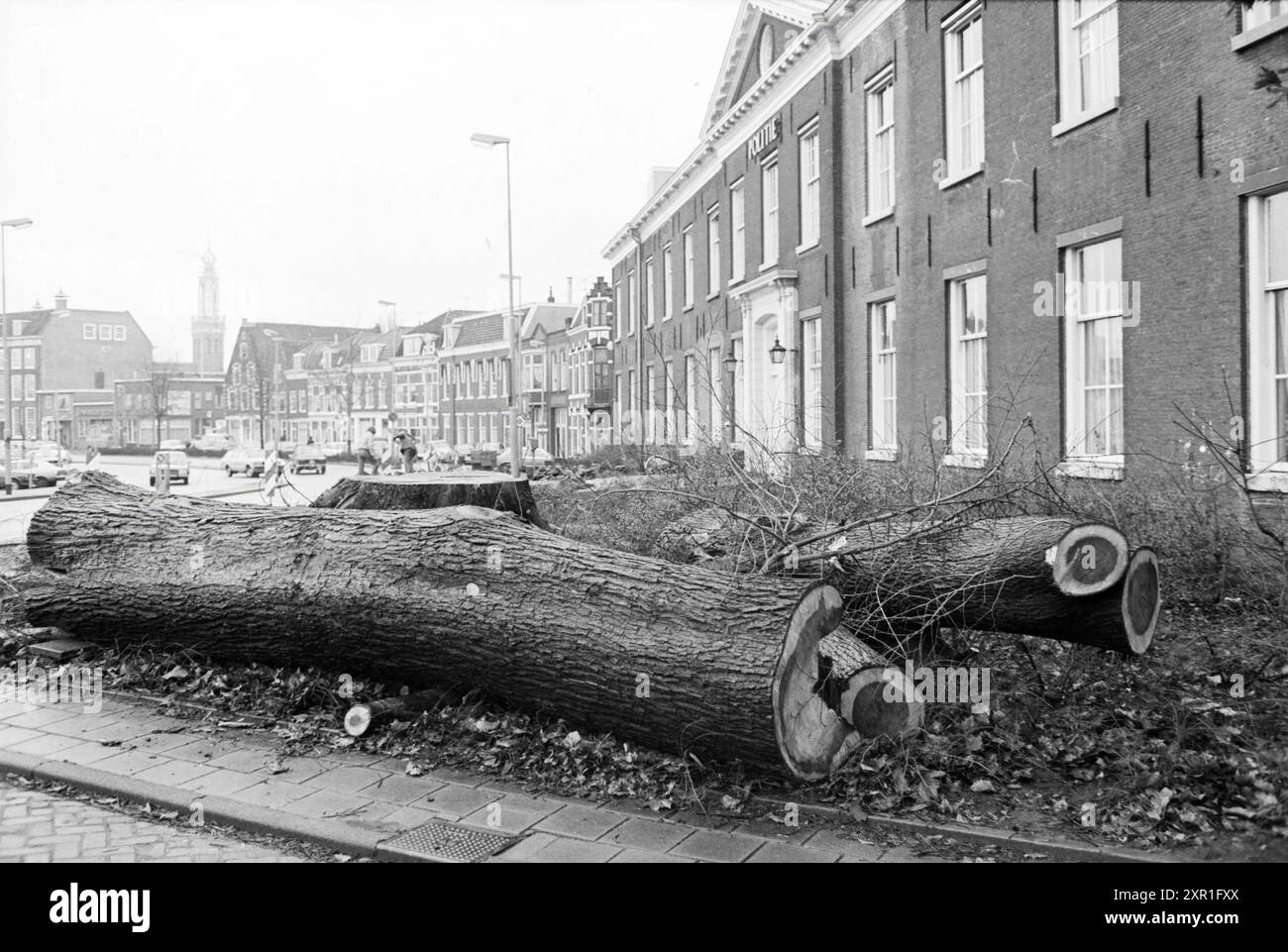 Gefällt Baum, Polizeistation, Bäume, 05-02-1980, Whizgle Dutch News: Historische Bilder zugeschnitten auf die Zukunft. Erkunden Sie die Vergangenheit der Niederlande mit modernen Perspektiven durch Bilder von niederländischen Agenturen. Verbinden der Ereignisse von gestern mit den Erkenntnissen von morgen. Begeben Sie sich auf eine zeitlose Reise mit Geschichten, die unsere Zukunft prägen. Stockfoto
