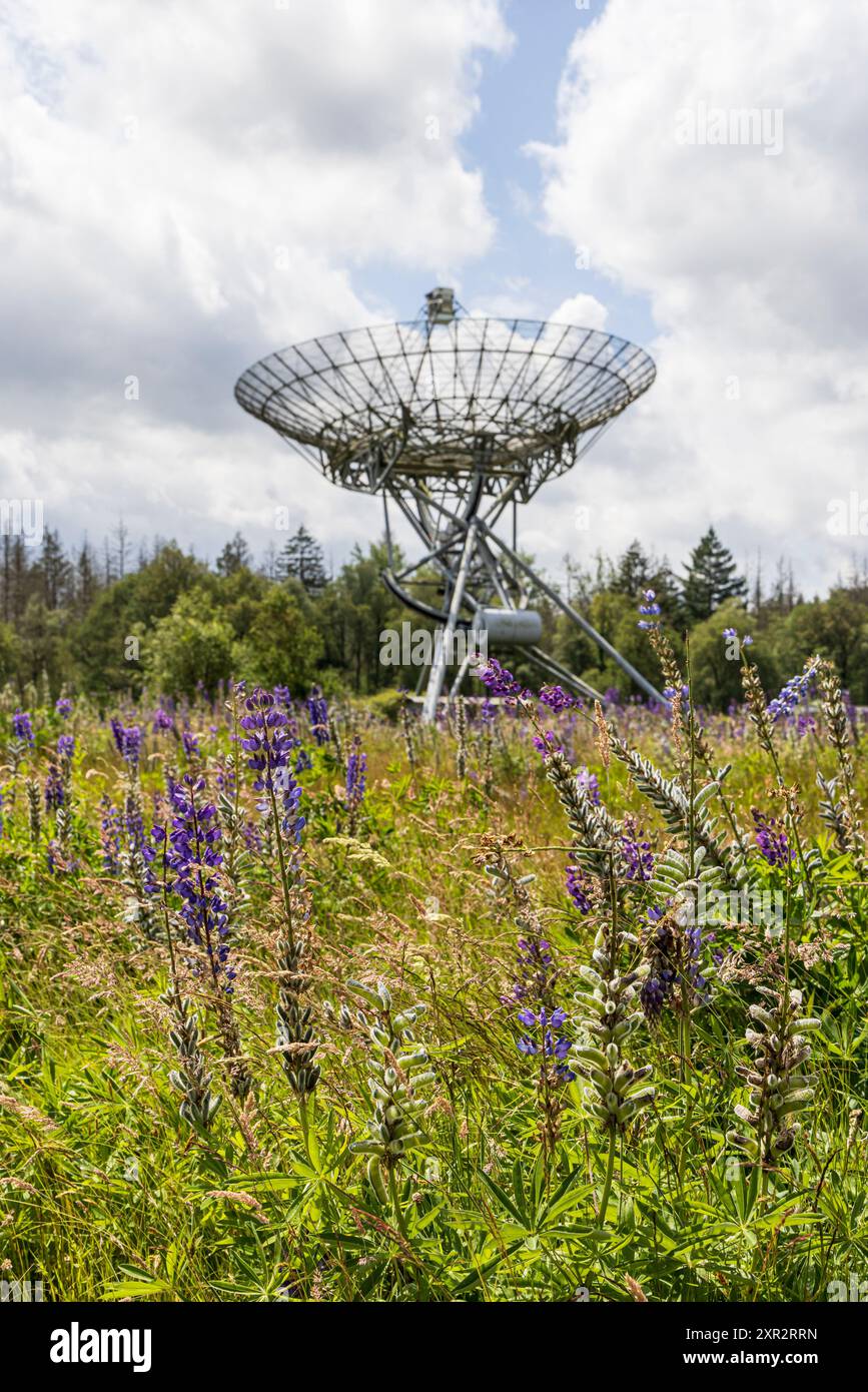 Ansicht des Westerbork Synthese Radio Telescope (WSRT) entlang des nationalen Gedenklagers in Westerbork in der Provinz Drenthe in den niederlanden. Stockfoto