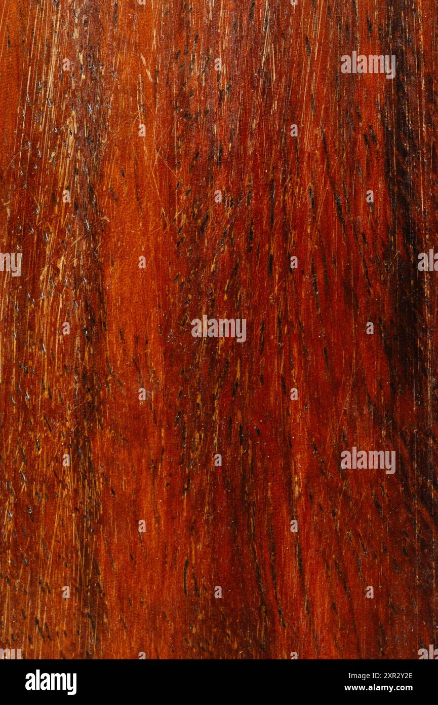 Zerkratzte braune Holzoberfläche, Makroaufnahme aus der Nähe Stockfoto