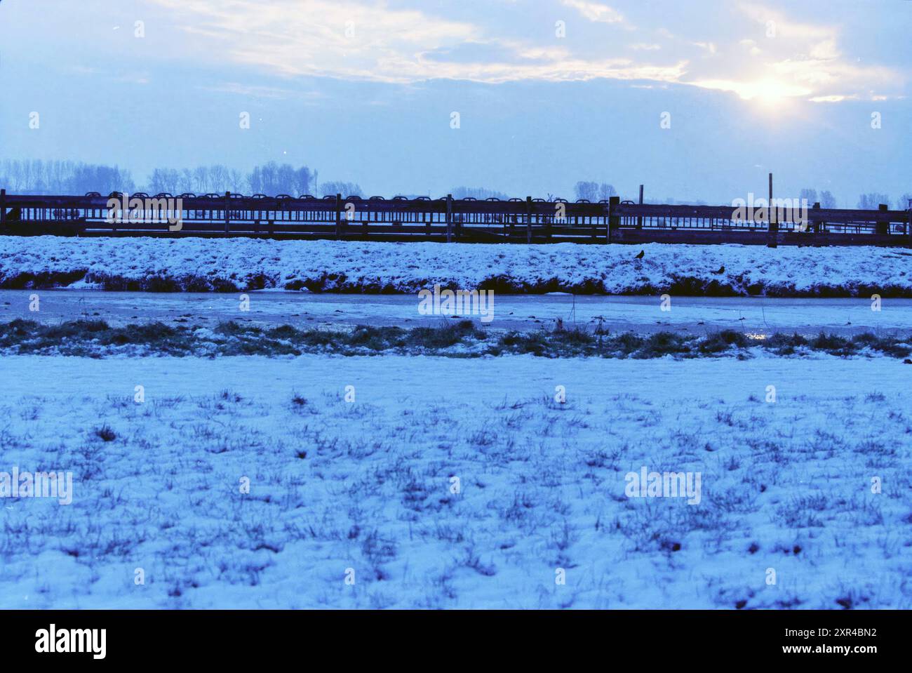 Schneelandschaft, Haarlem, Niederlande, 27-12-2000, Whizgle Dutch News: Historische Bilder zugeschnitten auf die Zukunft. Erkunden Sie die Vergangenheit der Niederlande mit modernen Perspektiven durch Bilder von niederländischen Agenturen. Verbinden der Ereignisse von gestern mit den Erkenntnissen von morgen. Begeben Sie sich auf eine zeitlose Reise mit Geschichten, die unsere Zukunft prägen. Stockfoto