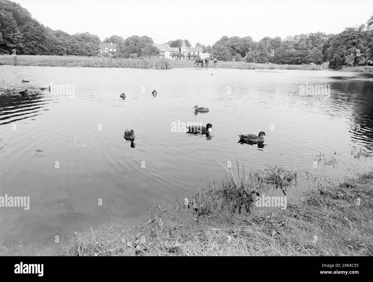 High Tide at Half Moon, Water, Bloemendaal, 27.07.1988, Whizgle Dutch News: Historische Bilder für die Zukunft. Erkunden Sie die Vergangenheit der Niederlande mit modernen Perspektiven durch Bilder von niederländischen Agenturen. Verbinden der Ereignisse von gestern mit den Erkenntnissen von morgen. Begeben Sie sich auf eine zeitlose Reise mit Geschichten, die unsere Zukunft prägen. Stockfoto