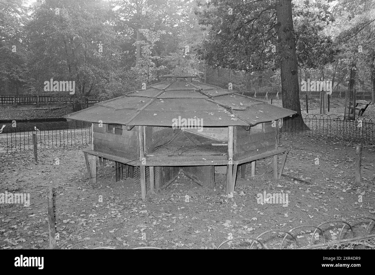 Rabbit Holes in the Wood, Animals, 26-10-1973, Whizgle Dutch News: Historical Images Tailored for the Future. Erkunden Sie die Vergangenheit der Niederlande mit modernen Perspektiven durch Bilder von niederländischen Agenturen. Verbinden der Ereignisse von gestern mit den Erkenntnissen von morgen. Begeben Sie sich auf eine zeitlose Reise mit Geschichten, die unsere Zukunft prägen. Stockfoto